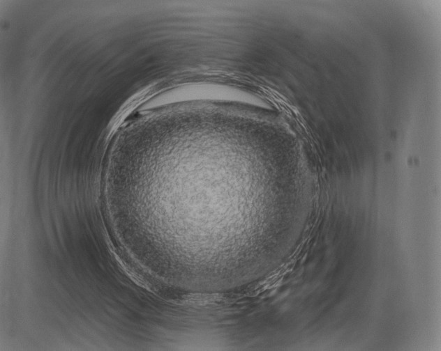 X0000083050051200702161741