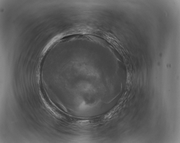 X0000083050054200702161742