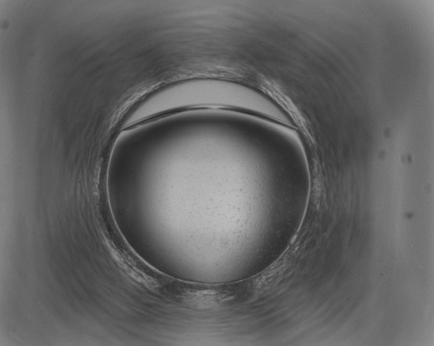 X0000083050058200702161742