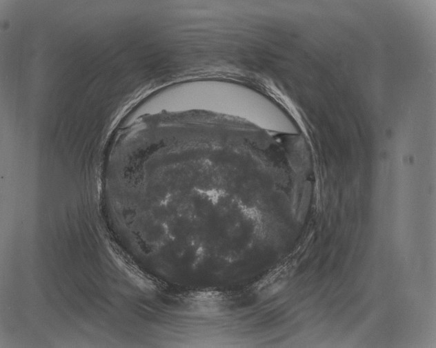 X0000083050059200702161742