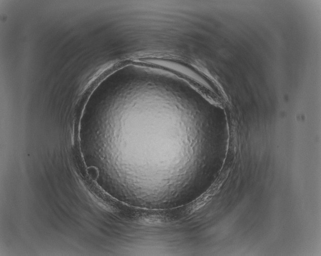 X0000083050062200702161742