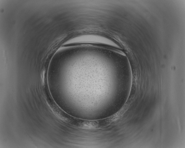 X0000083050070200702161742