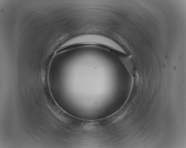 X0000083050072200702161742