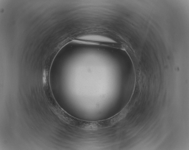 X0000083050075200702161742