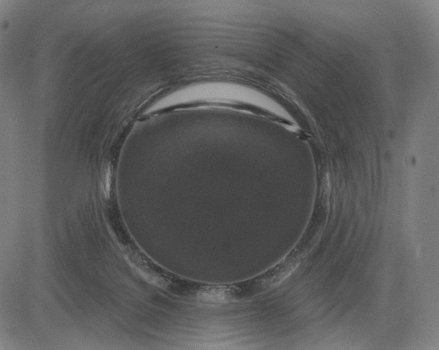 X0000083050076200702161742