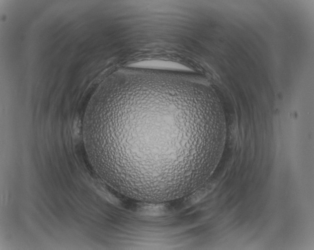 X0000083050081200702161742