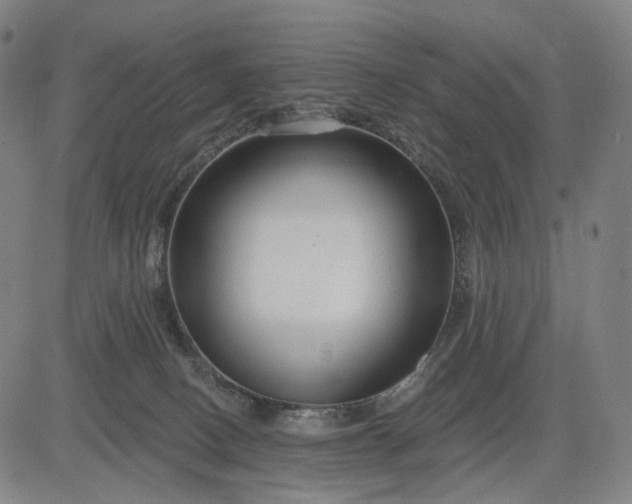 X0000083050082200702161742
