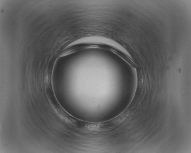 X0000083050084200702161742