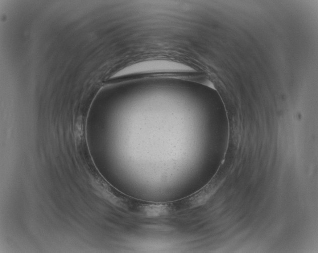 X0000083050085200702161742