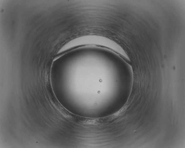 X0000083050086200702161742