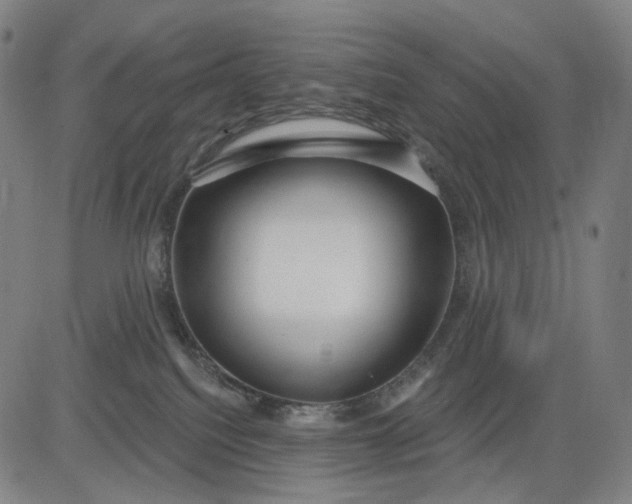 X0000083050088200702161742
