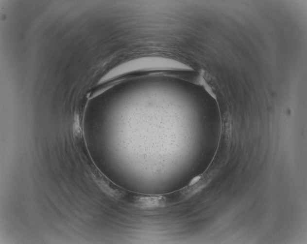 X0000083050089200702161742