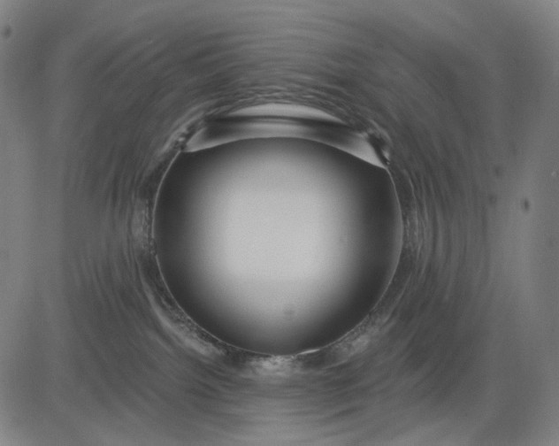X0000083050092200702161742
