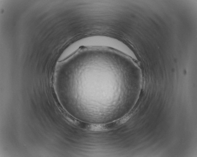 X0000083050093200702161742