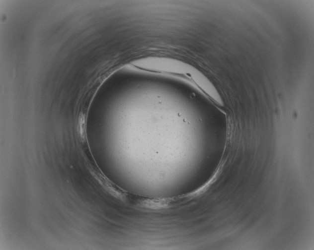X0000083050094200702161742