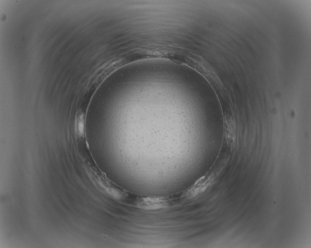 X0000083050095200702161742