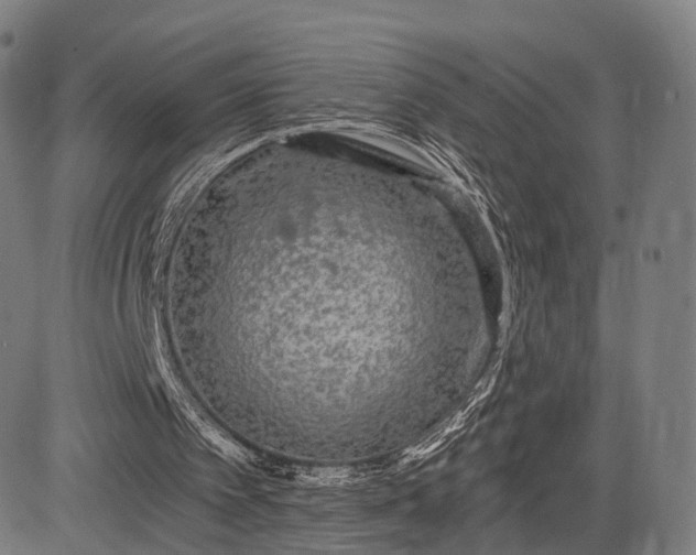 X0000083050097200702161741