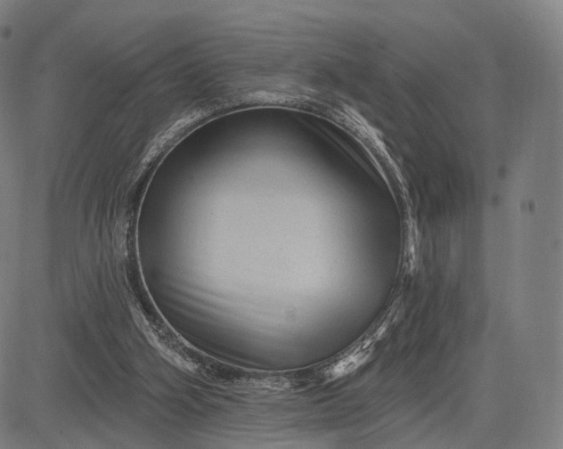 X0000083050106200702161741