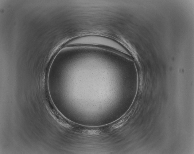 X0000083050107200702161741