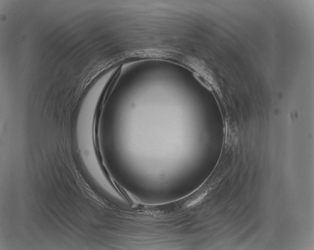 X0000083050109200702161741