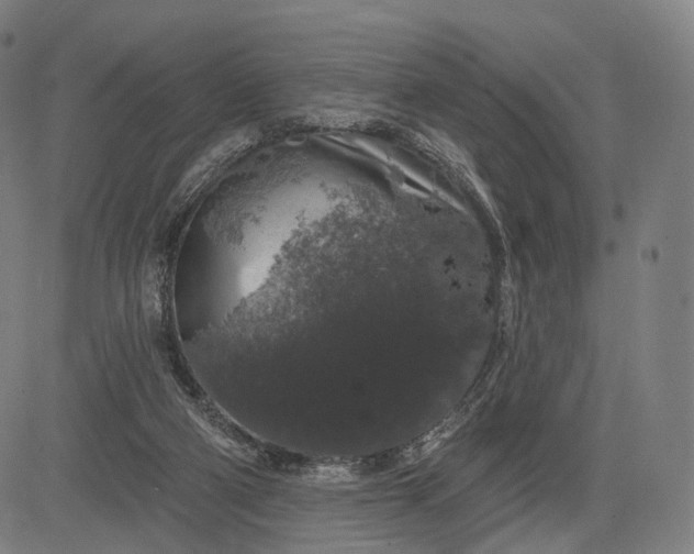 X0000083050114200702161741