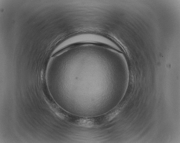X0000083050117200702161741