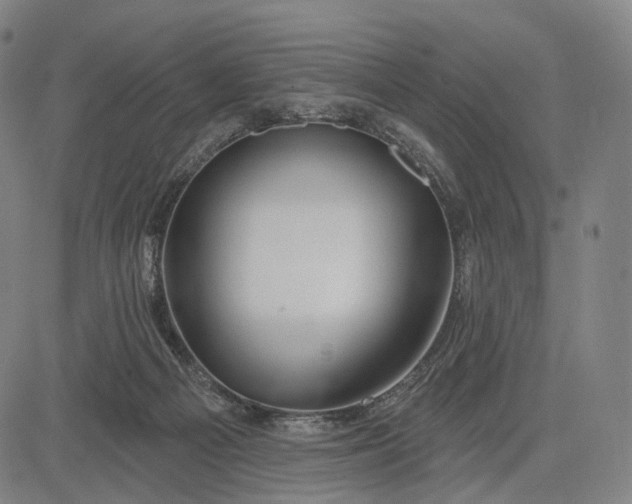 X0000083050121200702161741