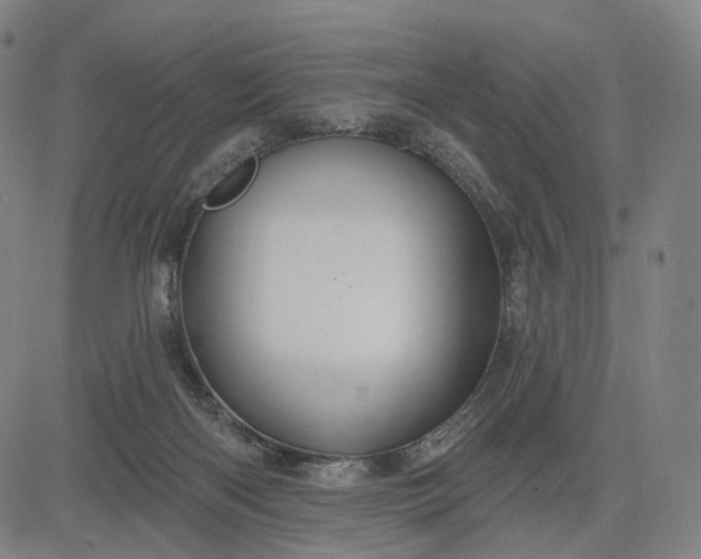 X0000083050122200702161741