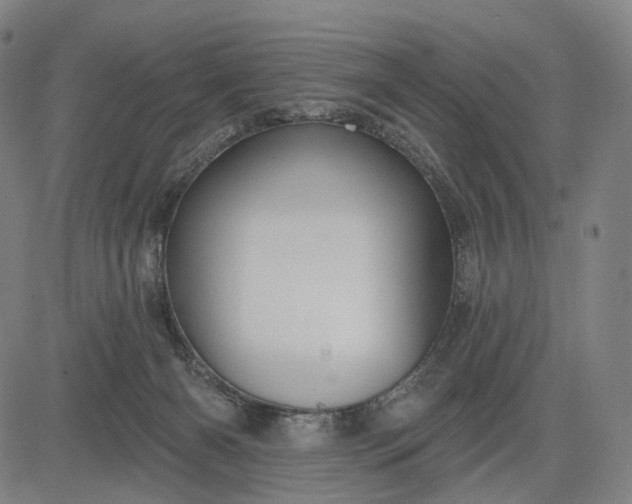 X0000083050126200702161741