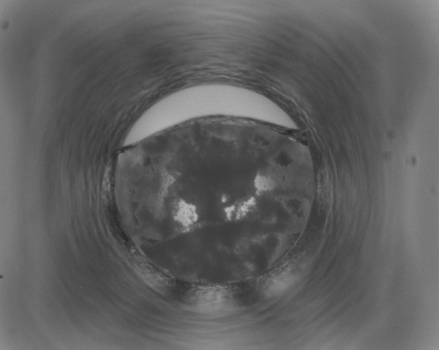 X0000083050127200702161741