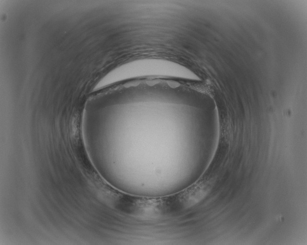 X0000083050131200702161741