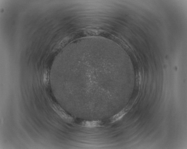 X0000083050134200702161741