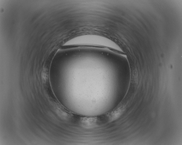 X0000083050135200702161741