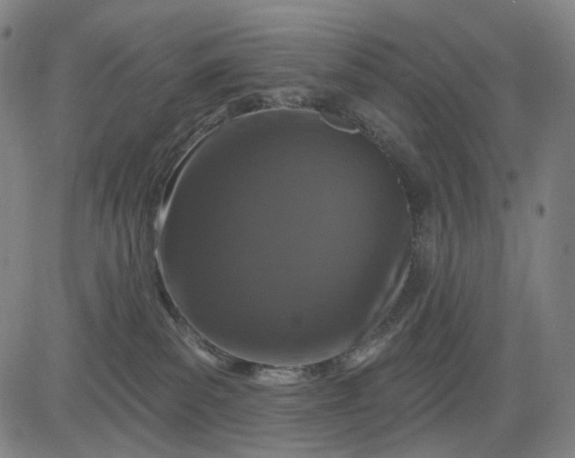 X0000083050139200702161741