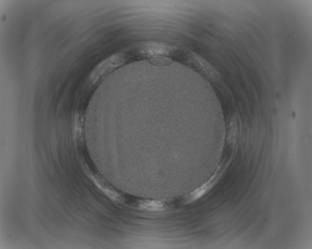 X0000083050140200702161741