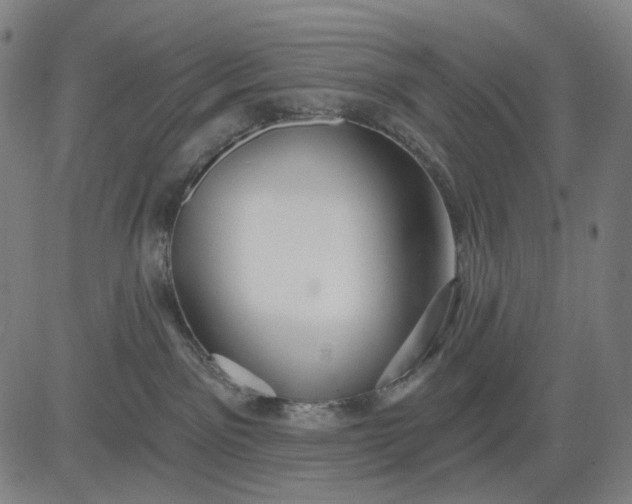 X0000083050141200702161741