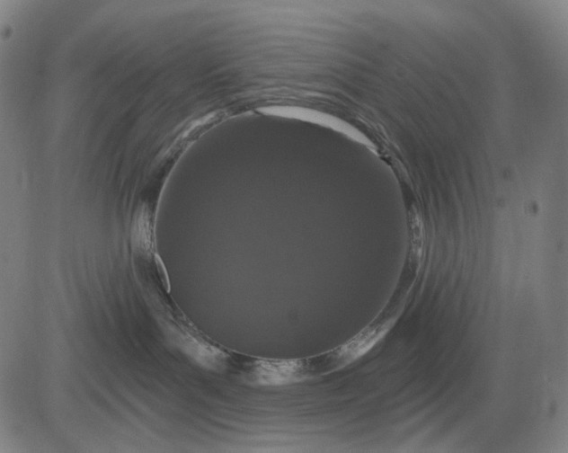 X0000083050143200702161741