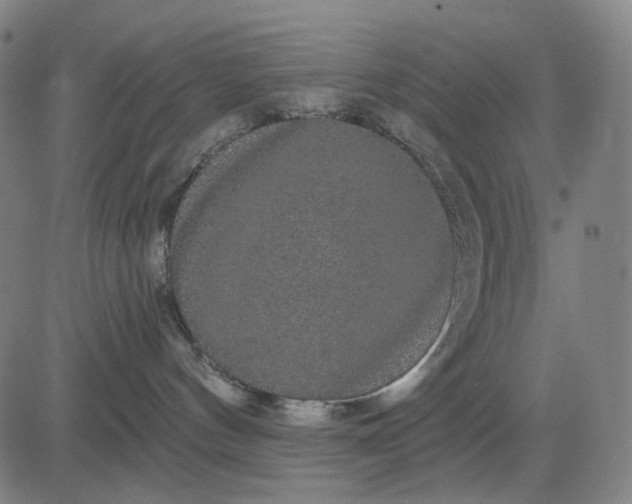 X0000083050144200702161741