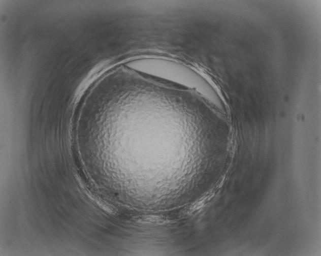 X0000083050151200702161740