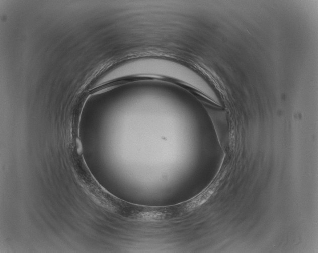 X0000083050158200702161740