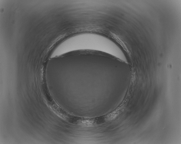 X0000083050163200702161740