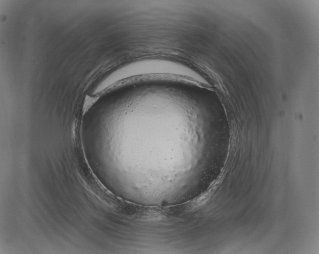 X0000083050166200702161740