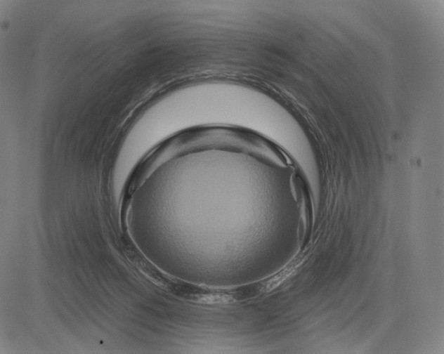 X0000083050168200702161740