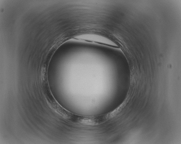 X0000083050171200702161740