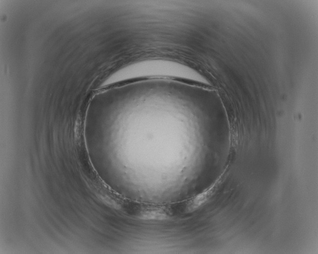 X0000083050175200702161740