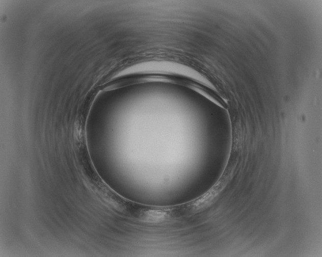 X0000083050176200702161740