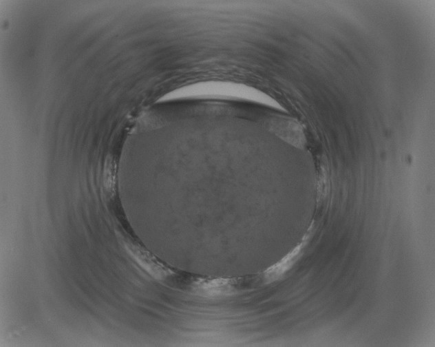 X0000083050186200702161741