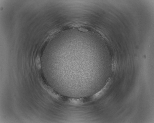X0000083050187200702161741