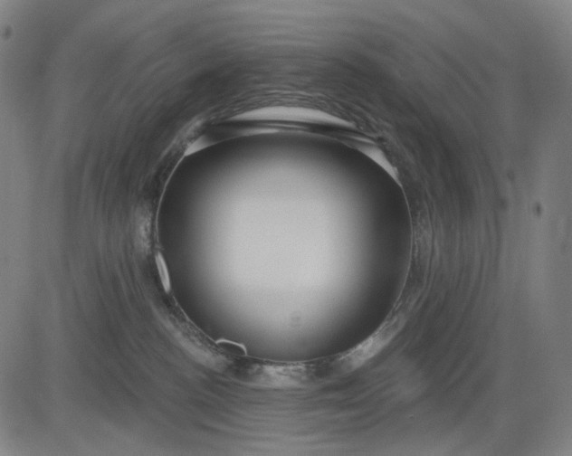 X0000083050188200702161741