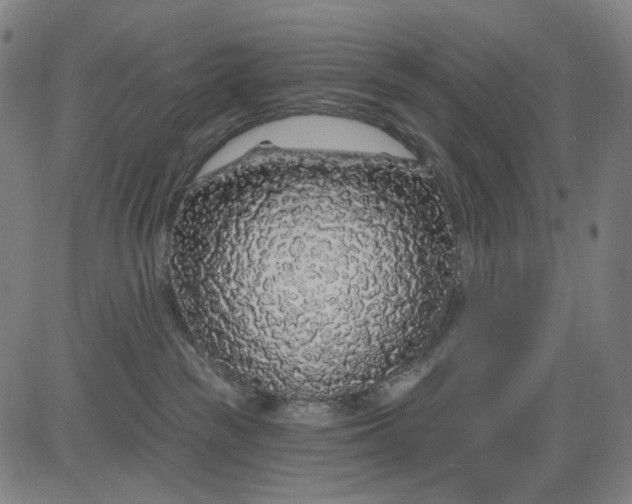 X0000083050189200702161741